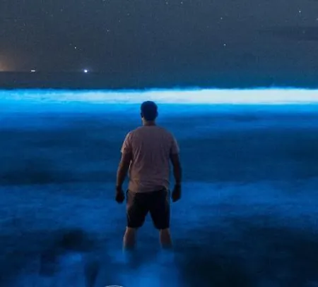 Dunas Da Barra 公寓 *